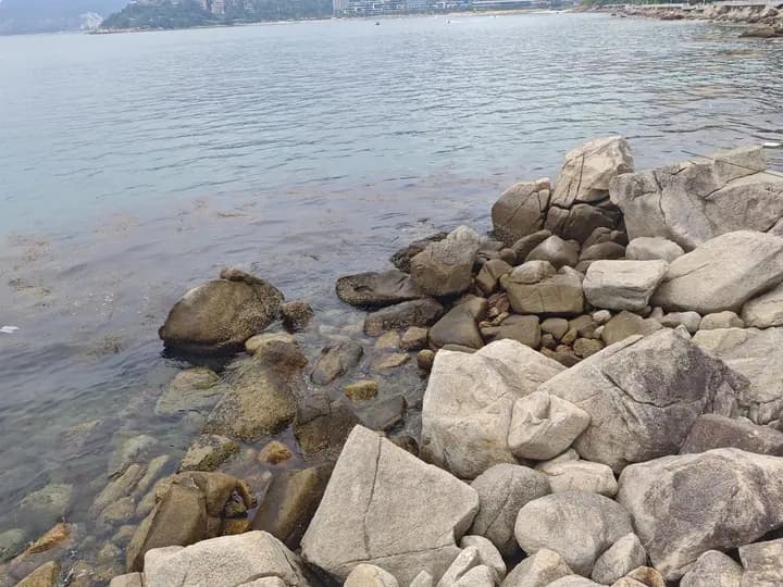 岸边的石头